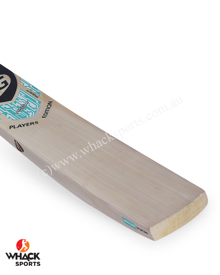 SG Player Edition English Willow Cricket Bat - SH