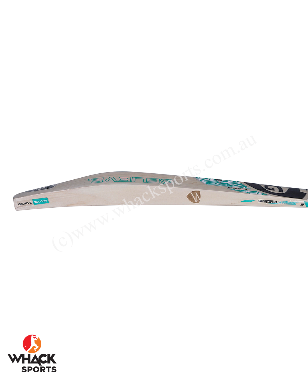 SG Player Edition English Willow Cricket Bat - SH