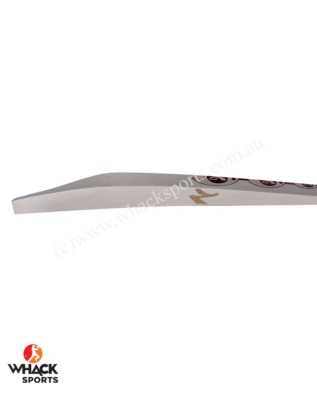 SG Sunny Tonny ARC 1.0 English Willow Cricket Bat - SH