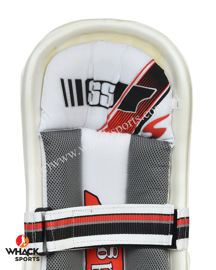 SS Aerolite Bundle component