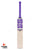 SS Blast English Willow Cricket Bat - SH