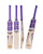 SS Blast English Willow Cricket Bat - SH