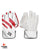 SS Dragon Cricket Keeping Gloves - Youth