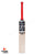 SS Professional Player Grade English Willow Cricket Bat - SH