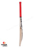 SS Professional Player Grade English Willow Cricket Bat - SH