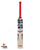 SS Professional Player Grade English Willow Cricket Bat - SH