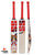 SS Tiger English Willow Cricket Bat - SH