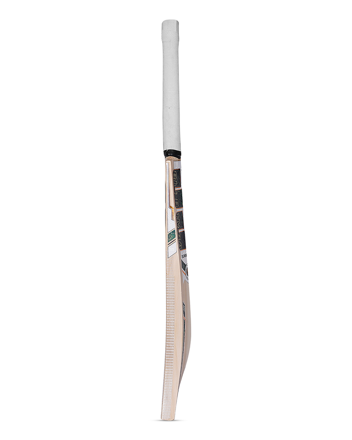 SS Tim David G3 English Willow Cricket Bat - Junior