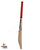 SS Professional Player Grade English Willow Cricket Bat - SH