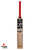 SS Professional Player Grade English Willow Cricket Bat - SH