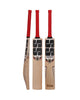 SS Professional Player Grade English Willow Cricket Bat - SH