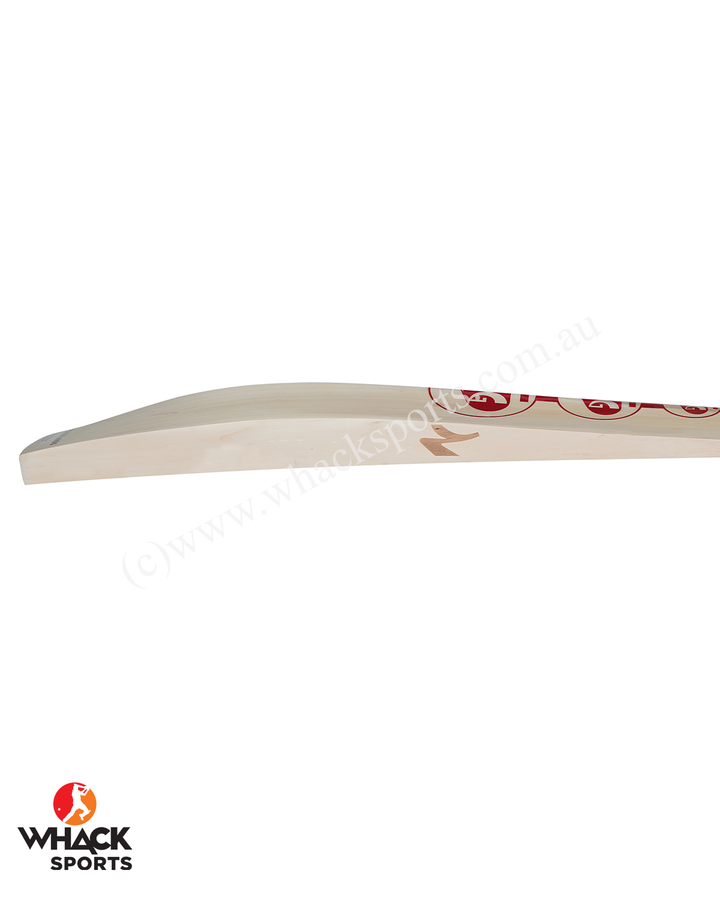 SG Sunny Tonny ARC 3.0 English Willow Cricket Bat - SH