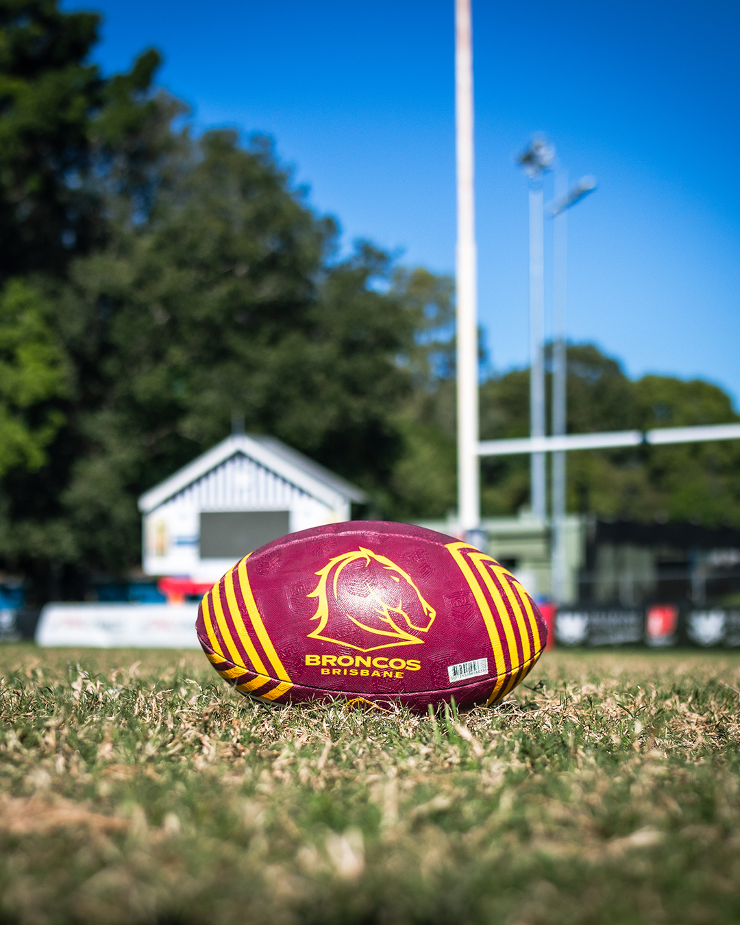 Steeden - NRL Supporter - Broncos - Size 5