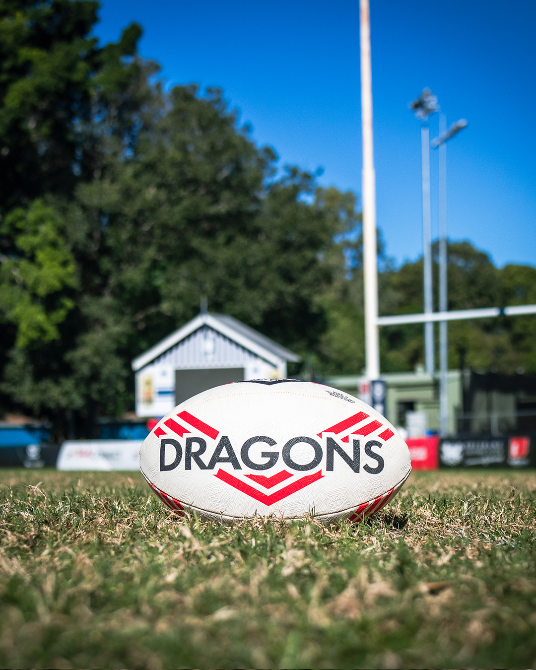 Steeden - NRL Supporter - Dragons - Size 5