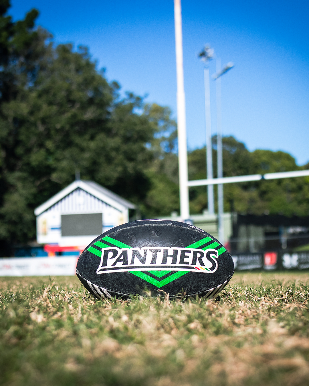 Steeden - NRL Supporter - Panthers - Size 5