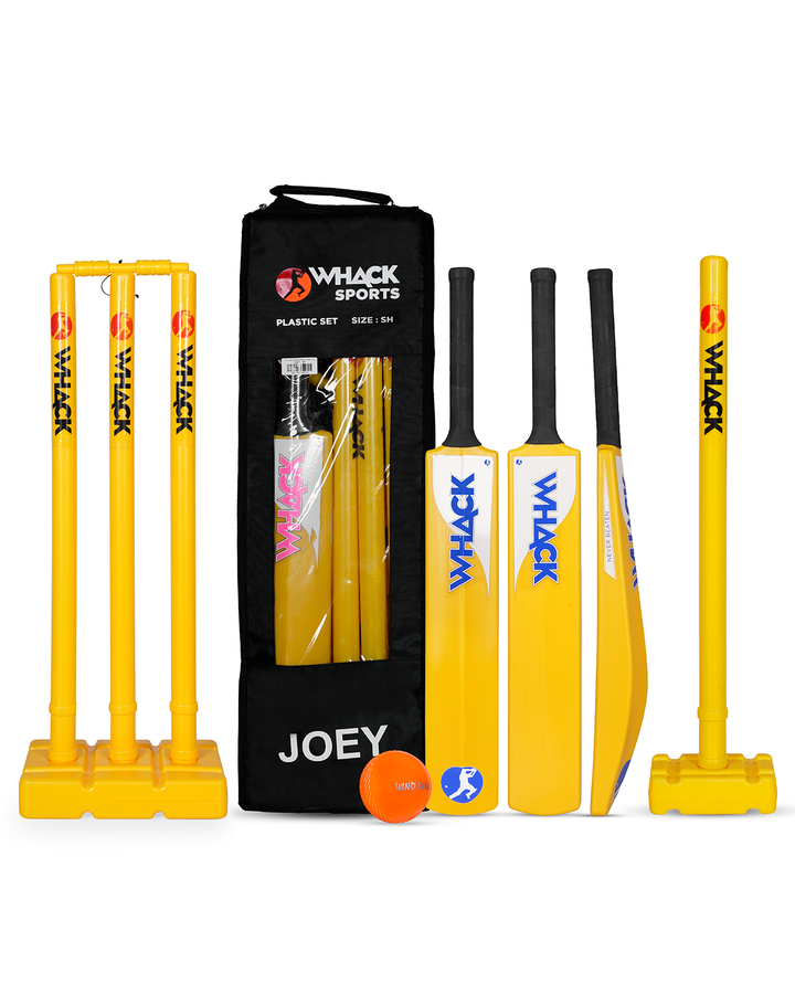 Whack (Jumbo) Joey Plastic Beach/Backyard Kit Set - SH
