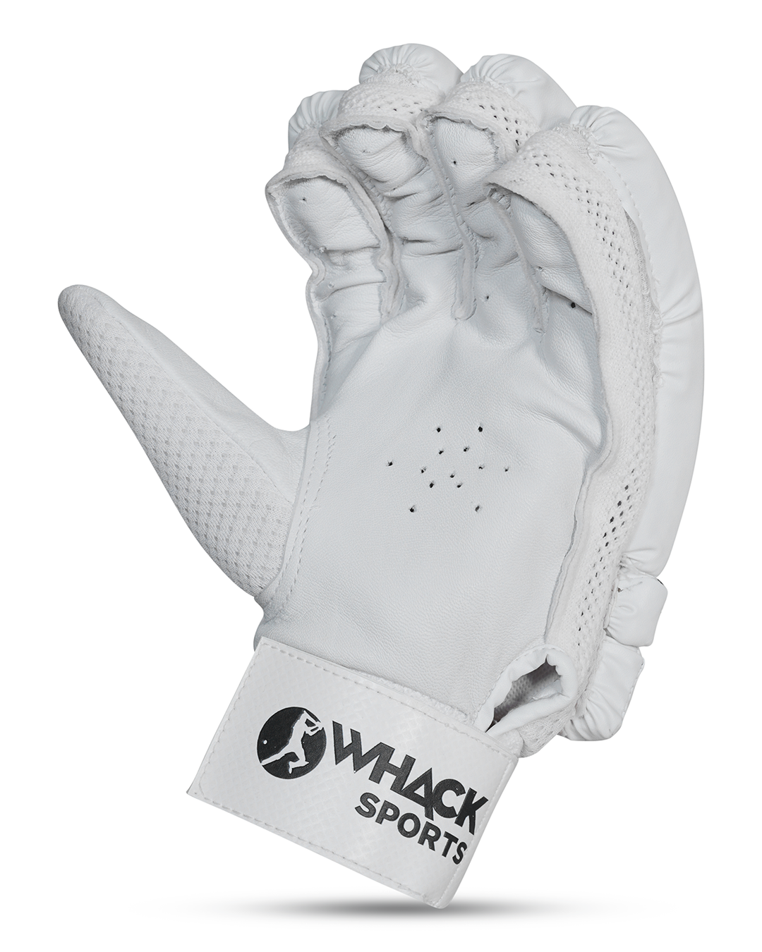 Ceat Rock Cricket Bundle Kit - Senior