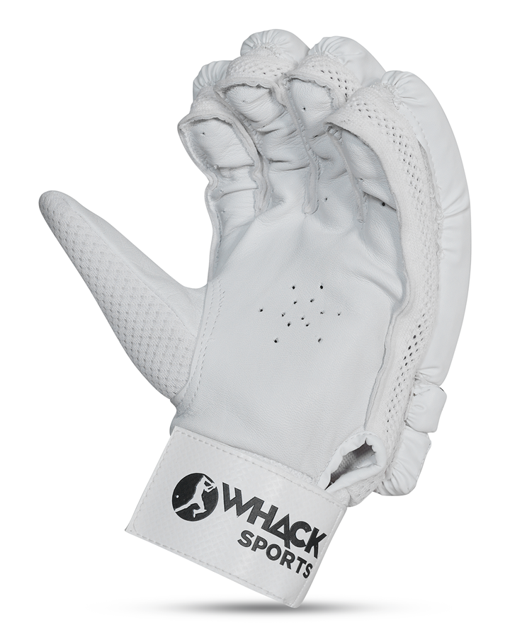 Ceat Rock Cricket Bundle Kit - Senior