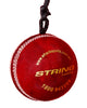 Whack Cricket Batting Practice String Ball - Leather Ball