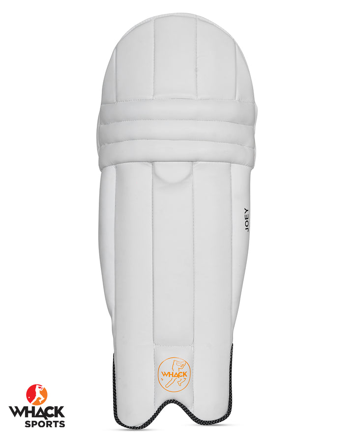 WHACK Joey RED Cricket Kashmir Willow Bundle Kit - Junior