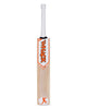 WHACK Joey Orange Kashmir Willow Cricket Bat - Boys/Junior