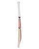 WHACK Joey Orange Kashmir Willow Cricket Bat - Boys/Junior