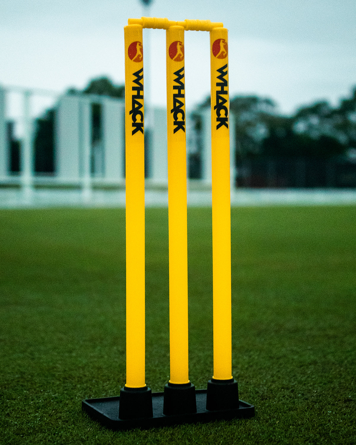 Fielding Stump Whack Plastic Training Stumps Set With Rubber Base (Flexi Stumps Set ...