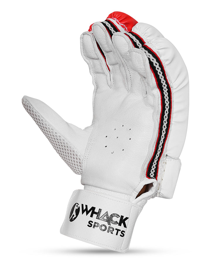 Ceat Rock Cricket Bundle Kit - Senior
