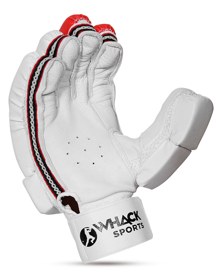 Ceat Rock Cricket Bundle Kit - Senior