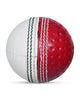 WHACK Reverse Swing Leather Cricket Ball
