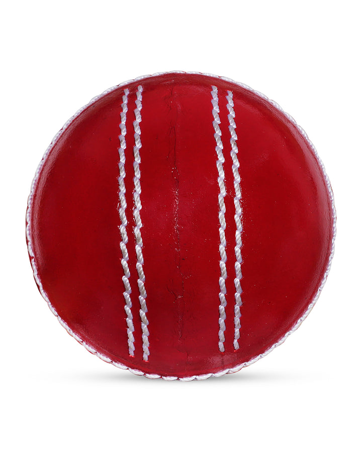 WHACK Spin training Cricket Leather Ball