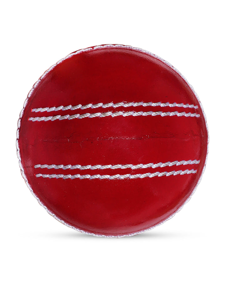 WHACK Spin training Cricket Leather Ball