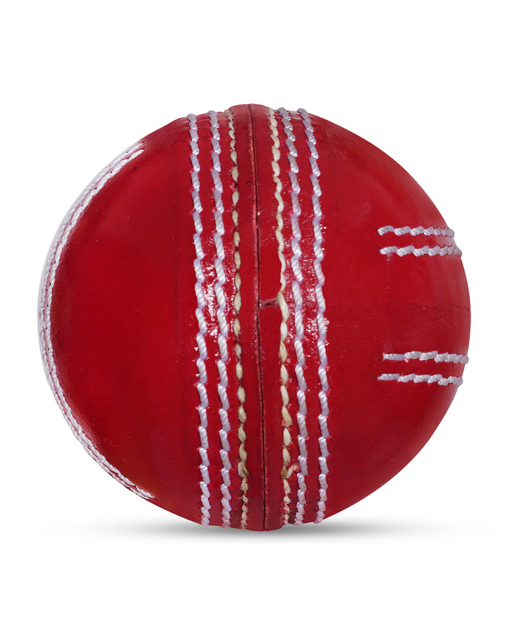 WHACK Spin training Cricket Leather Ball