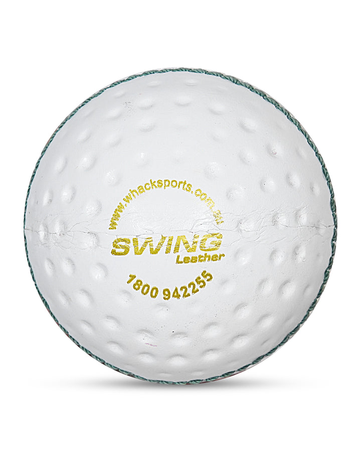WHACK 156gm Leather Swing Training Ball (Both Side Dots)