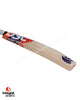 DSC Krunch DW Boom English Willow Cricket Bat - SH