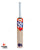 DSC Krunch DW Boom English Willow Cricket Bat - SH