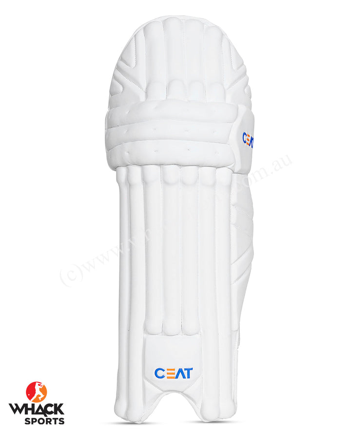 Ceat Hitman Players grade Cricket Bundle Kit - Senior