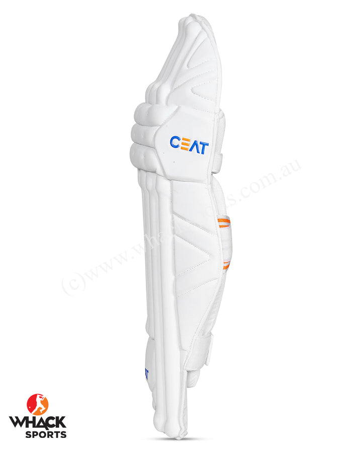 Ceat Hitman Players grade Cricket Bundle Kit - Senior