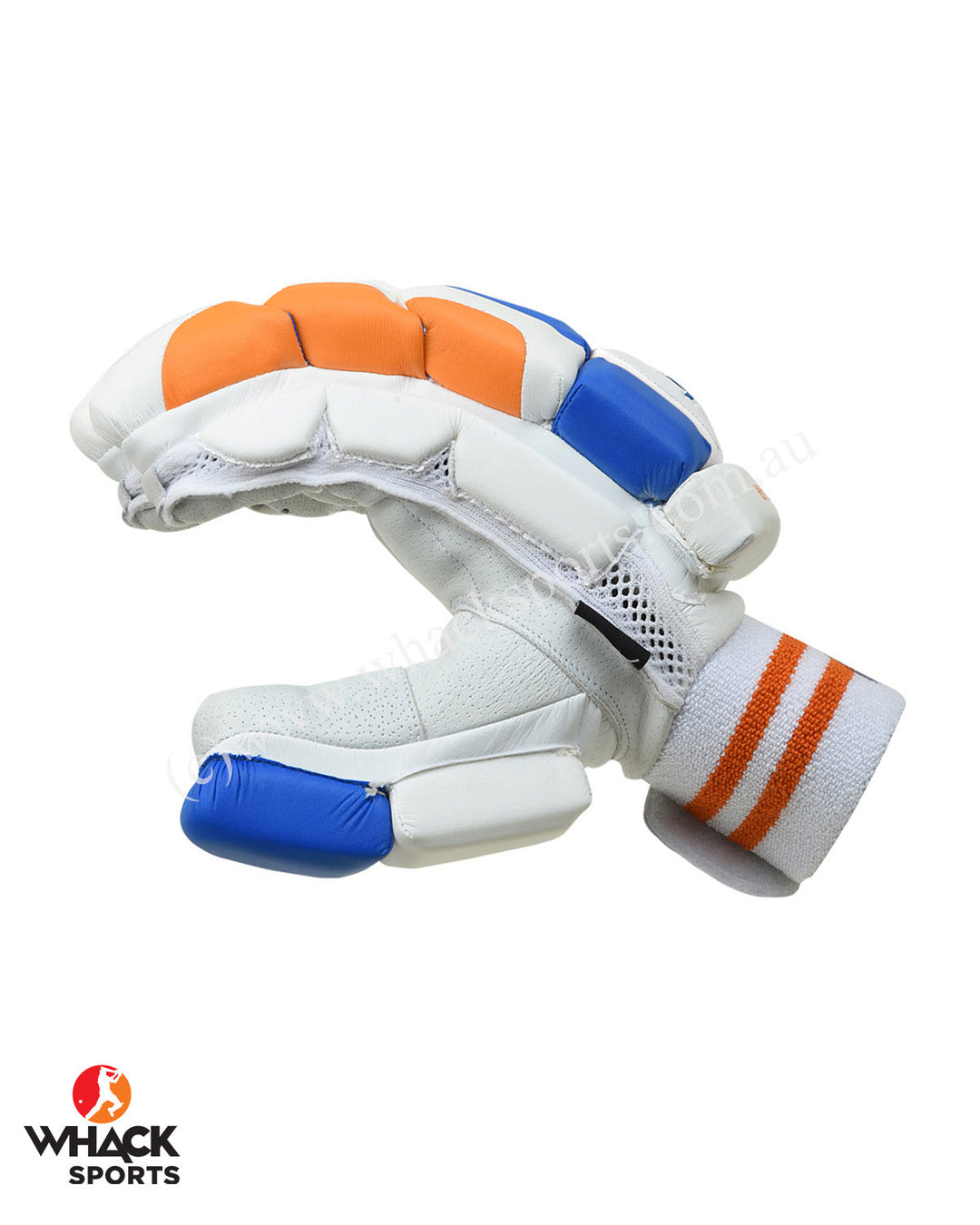 Ceat Hitman Players grade Cricket Bundle Kit - Senior