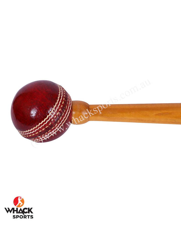 DSC Mulbery Mallet with Leather Ball