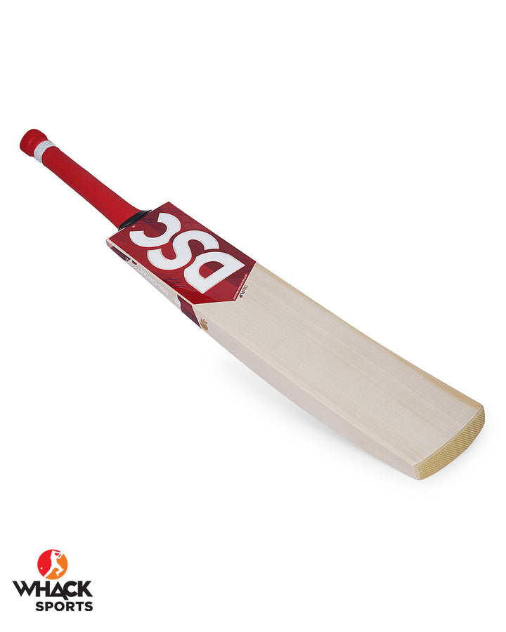 DSC FLIP Pro Players Grade English Willow Cricket Bat - SH