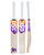 DSC Krunch DW 100 English Willow Cricket Bat - Boys/Junior