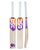 DSC Krunch 100 Cricket Bundle Kit - Junior