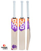 DSC Krunch DW 200 English Willow Cricket Bat - Boys/Junior (2023/24)