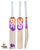 DSC Krunch 500 Cricket Bundle Kit - Youth