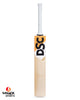 DSC Krunch Special Edition English Willow Cricket Bat - Boys/Junior (2022/23)