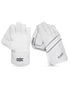 DSC Player Cricket Keeping Gloves - Youth