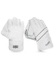 DSC Player Cricket Keeping Gloves - Adult