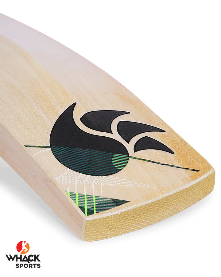 DSC Spliit 2 English Willow Cricket Bat - Boys/Junior (2023/24)