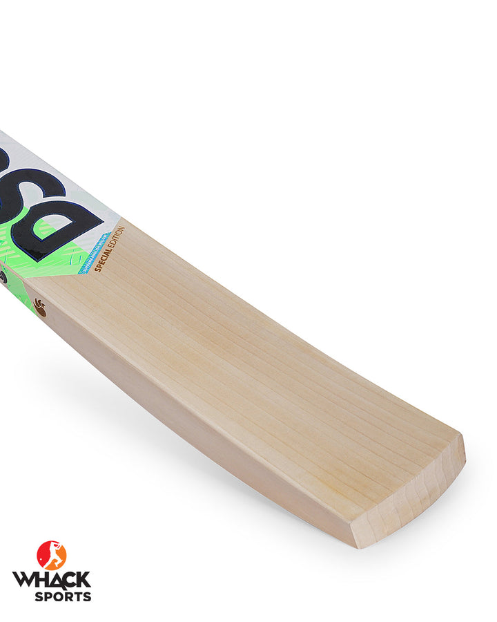 DSC Spliit Special Edition English Willow Cricket Bat - SH (2023/24)